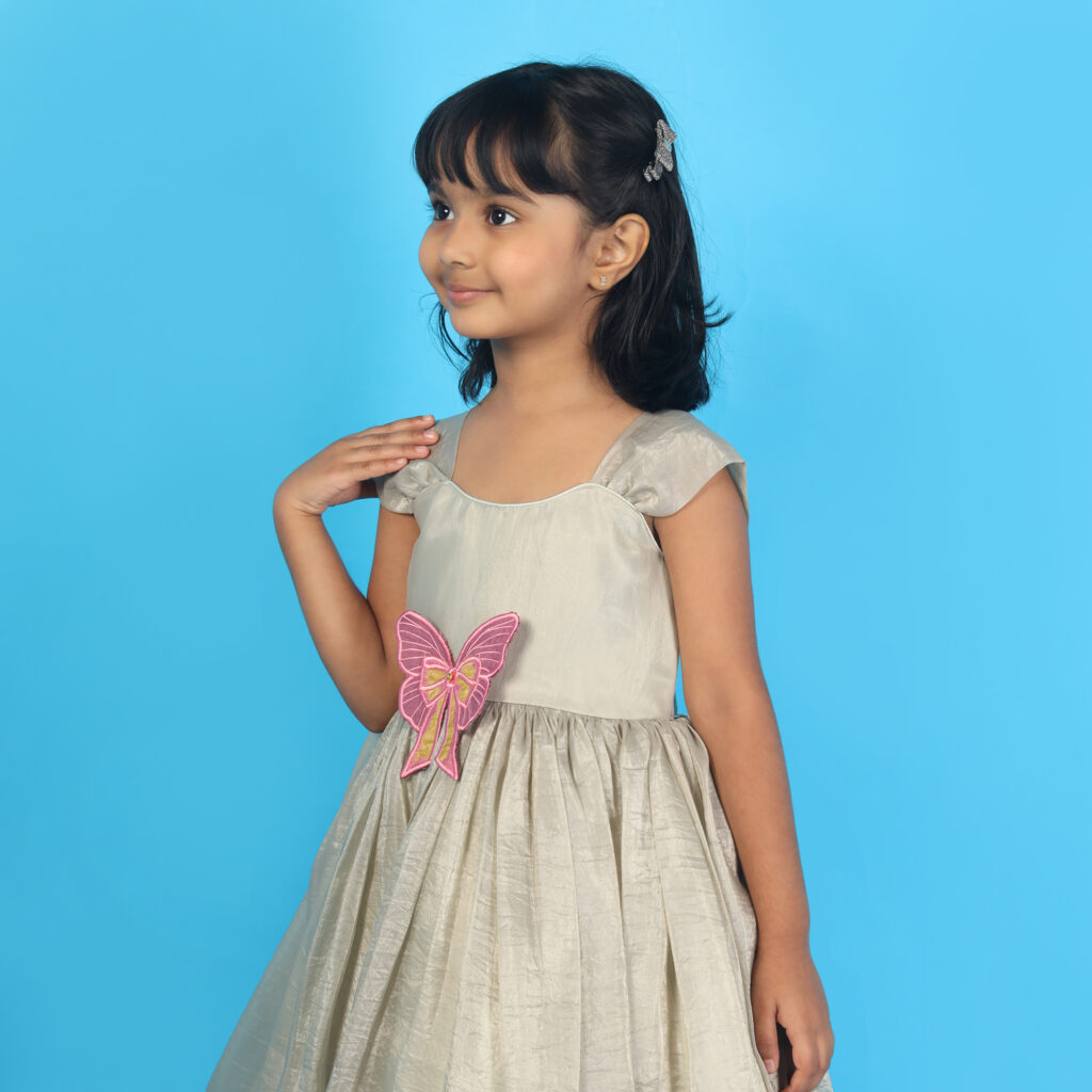 Flared butterfly charm kids frock princess style premium party wear dress