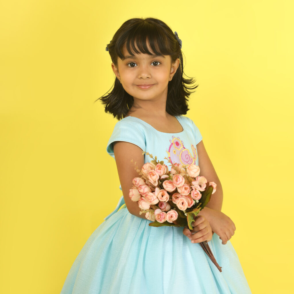 Flared blue birdy charm kids frock princess style party wear dress