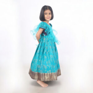 Traditional Varnika Neelika festive long gown premium festive outfit